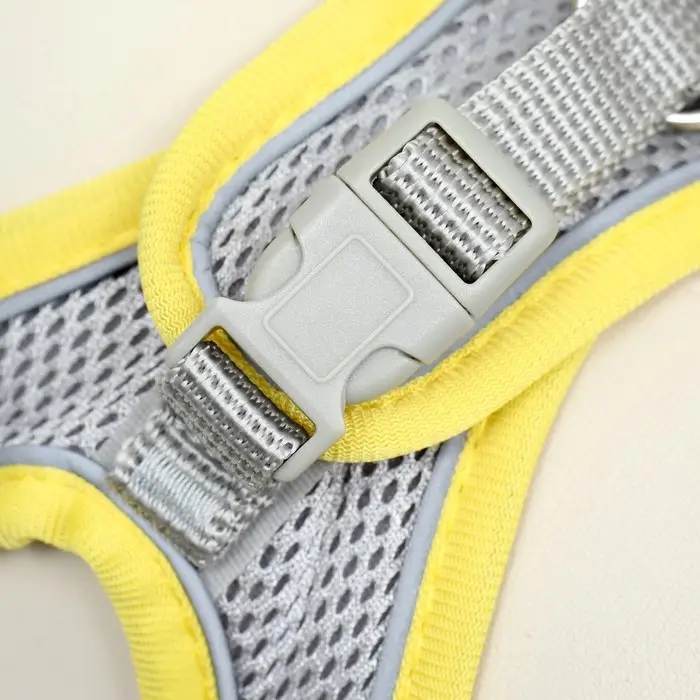 Шлейка с поводком, размер XS, ОШ 29-32 ОГ 31-34 см, поводок 150&times;1.5 см, быстросъёмная, мягкая, жёлтая