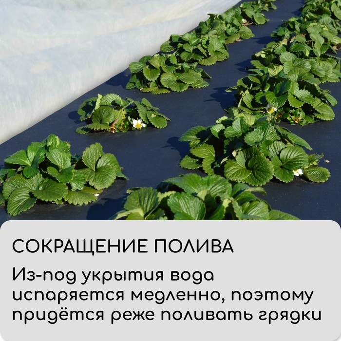 Материал мульчирующий, 5 × 0,8 м, плотность 80 г/м², с УФ-стабилизатором, чёрный, Greengo, Эконом 30% Материал мульчирующий, 5 × 0,8 м, плотность 80 г/м², с УФ-стабилизатором, чёрный, Greengo, Эконом 30%