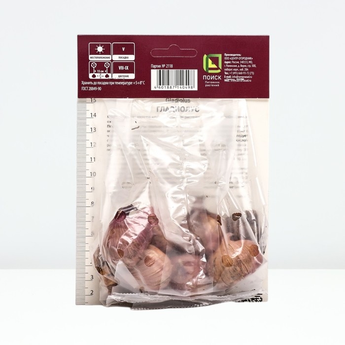 Гладиолус крупноцветковый «Фиделио»,луковица цветов в пакете, р-р 10/12, 10 шт.