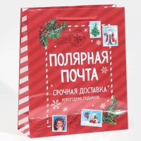 Пакет подарочный новогодний ламинированный «Полярная почта», ML 21 х 25 х 8 см