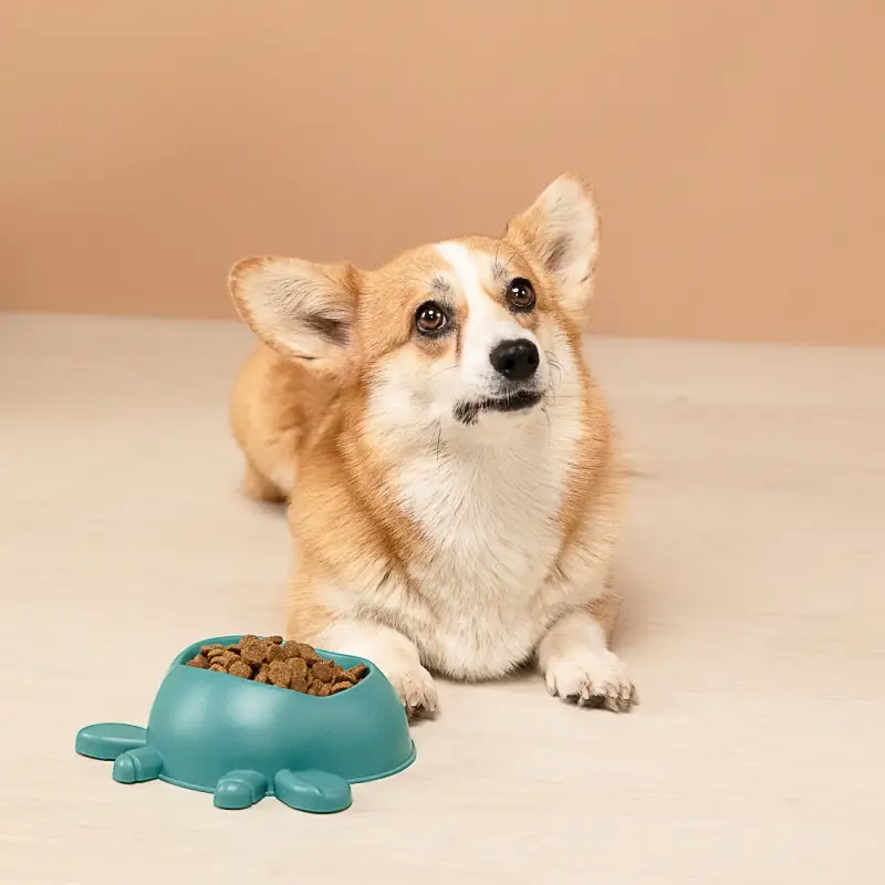 VETTA Миска для домашних животных, пластмасса, 20х16х7 см, 200 мл