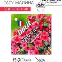 Семена цветов Катарантус "Тату Малина", 5 шт