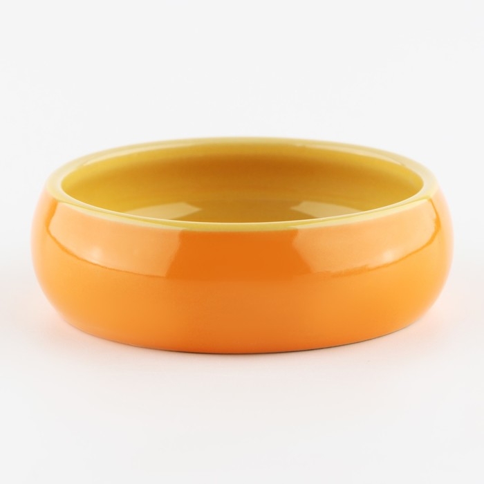 Миска керамическая для грызунов «Сырный день», 80 мл Миска керамическая для грызунов «Сырный день», 80 мл