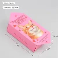 Коробка самосборная &laquo;Киса&raquo;, размер 3.5&times;7.5&times;11 см