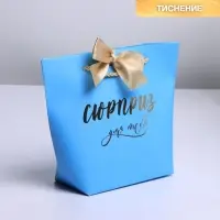 Пакет подарочный, упаковка, &laquo;Сюрприз&raquo;, 14&times;17&times;7 см