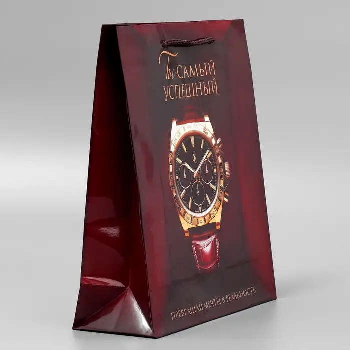 Пакет подарочный ламинированный, упаковка, «Успех», ML, 25 х 21 х 8 см Пакет подарочный ламинированный, упаковка, «Успех», ML, 25 х 21 х 8 см