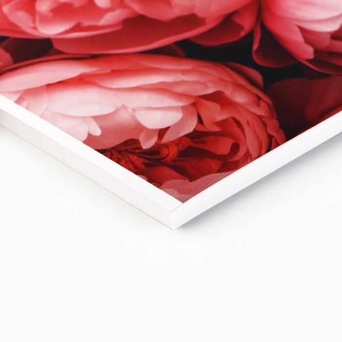 Альбом для рисования 40 листов на склейке А4 «Цветы» Альбом для рисования 40 листов на склейке А4 «Цветы»