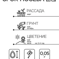 Семена цветов аквилегия «Желтый гигант», цветной пакет, 0.05 г Семена цветов аквилегия «Желтый гигант», цветной пакет, 0.05 г