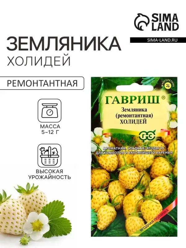 Семена Земляника &laquo;Холидей&raquo;, ремонтантная, 0.03 г, &laquo;Аэлита&raquo;