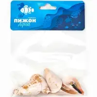 Набор ракушек декоративных, длина 4 см, 5 шт