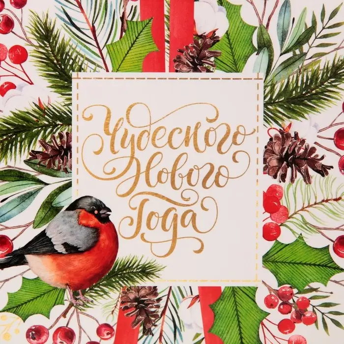 Пакет подарочный новогодний ламинированный «Чудесного Нового Года», MS 18 х 23 х 10 см