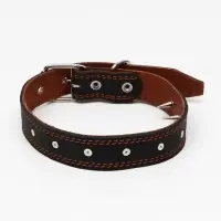 Ошейник &laquo;Строгий шип&raquo;, 70&times;3.5 см, ОШ 45-60 см, кожа, чёрный