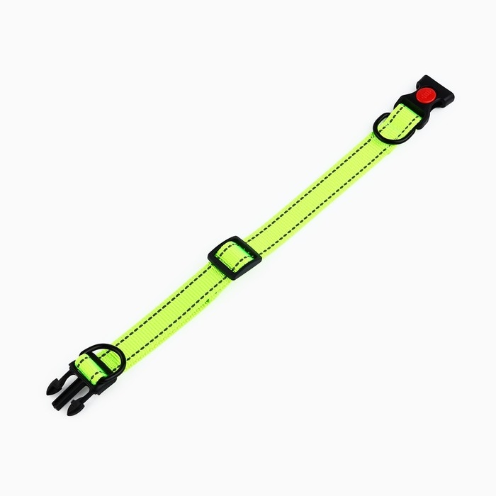 Ошейник с подкладом из нейлона с фастексом 2,5 см, ОШ 31-48 см, зелёный Ошейник с подкладом из нейлона с фастексом 2,5 см, ОШ 31-48 см, зелёный