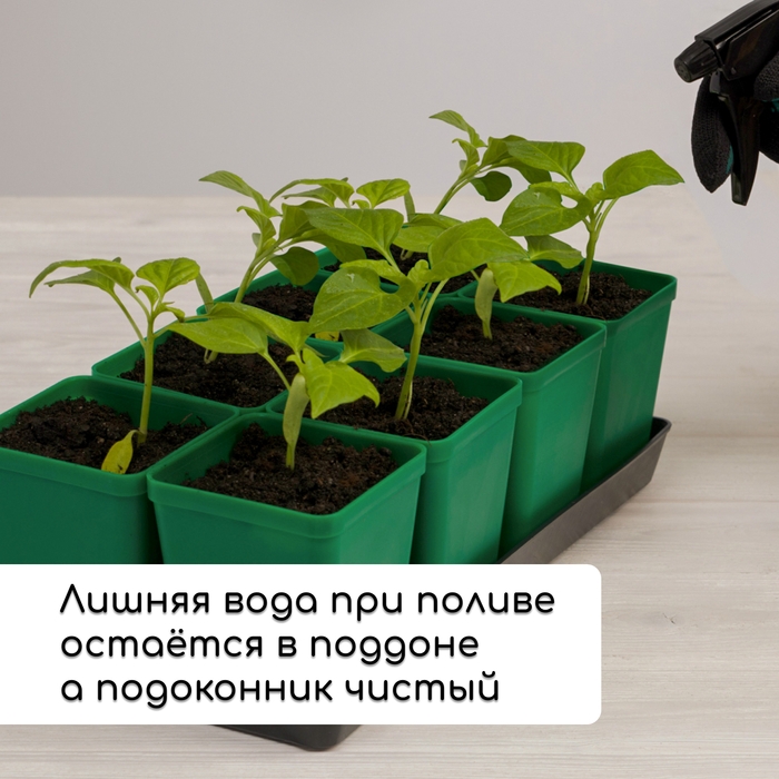 Набор для рассады: стаканы по 600 мл (8 шт.), поддон 36 × 18 см, цвет МИКС, Greengo Набор для рассады: стаканы по 600 мл (8 шт.), поддон 36 × 18 см, цвет МИКС, Greengo