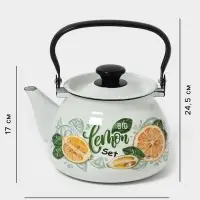 Чайник эмалированный &laquo;Лимонный сет&raquo;, 3 л, металлическая ручка, белый