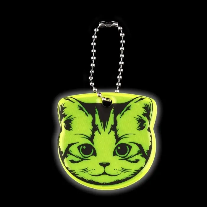 Светоотражающий элемент «Кисуля», двусторонний, 4.7×4.8 см, МИКС Светоотражающий элемент «Кисуля», двусторонний, 4.7×4.8 см, МИКС