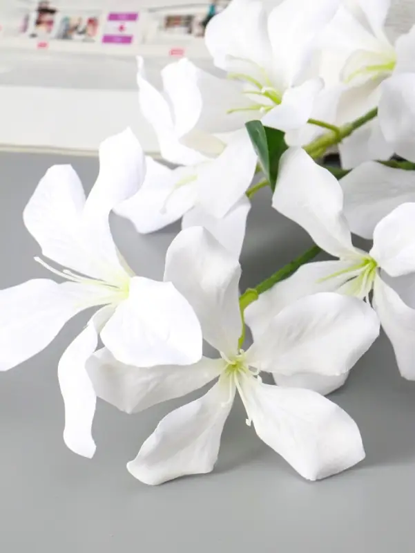 Цветы искусственные "Баухиния пёстрая" d-13 см 71 см, белый