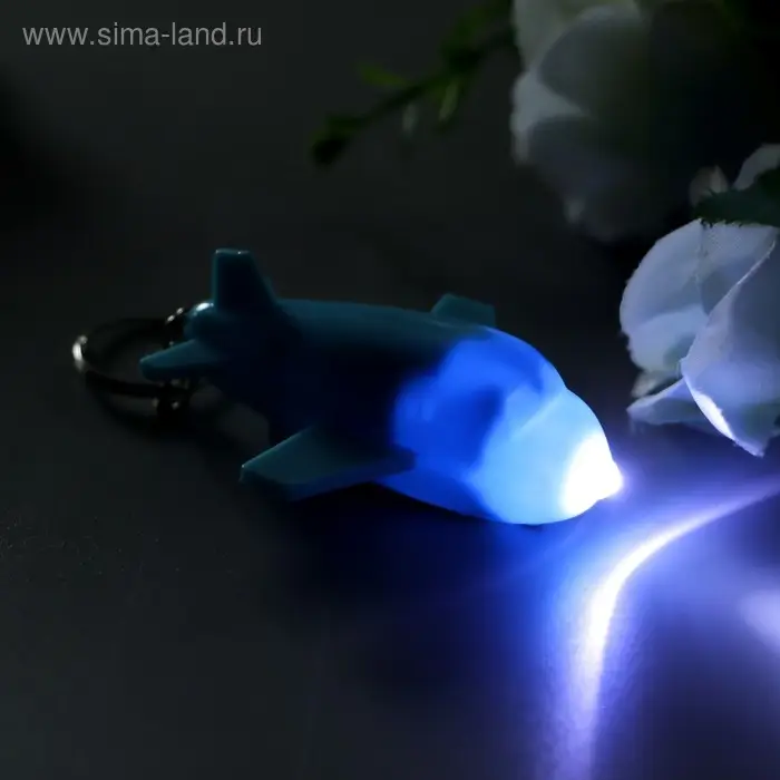Фонарик свет на кольце  Фонарик свет на кольце "Самолёт" цветной МИКС светит 2х6х5 см