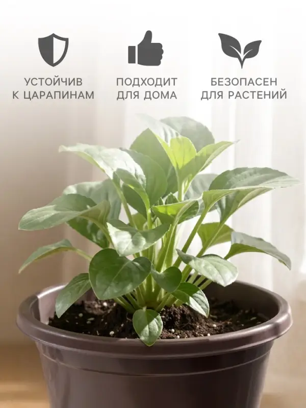 Горшок цветочный с поддоном &laquo;Альтернатива. Эконом&raquo;, 2 л, пластиковый, коричневый