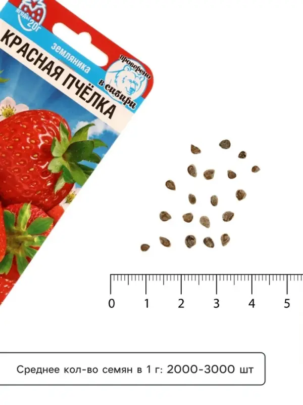 Семена Земляника &laquo;Красная пчелка&raquo;, 10 шт., &laquo;Сибирский сад&raquo;
