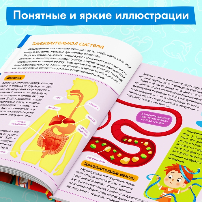 Энциклопедия в твёрдом переплёте «Тело человека», 48 стр. Энциклопедия в твёрдом переплёте «Тело человека», 48 стр.