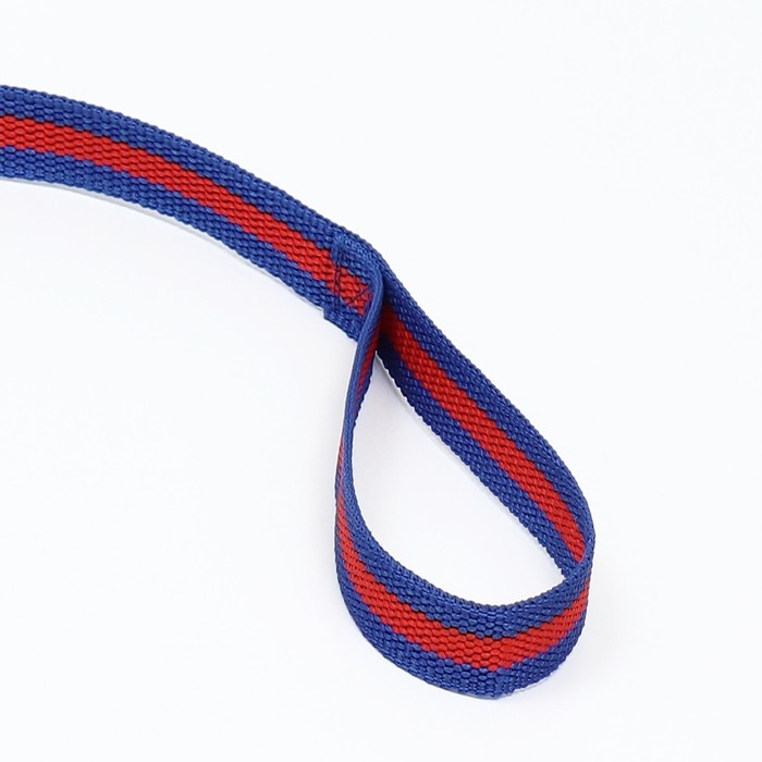 Поводок 2 м х 2 см, сине-красный Поводок 2 м х 2 см, сине-красный
