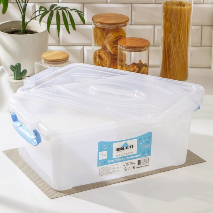 Контейнер пищевой RICCO, 17 л, 46×31×17 см, прямоугольный, цвет прозрачный, ручки голубые