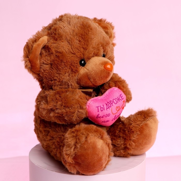 Мягкая игрушка «Ты дороже всего на свете», медведь, цвета МИКС Мягкая игрушка «Ты дороже всего на свете», медведь, цвета МИКС