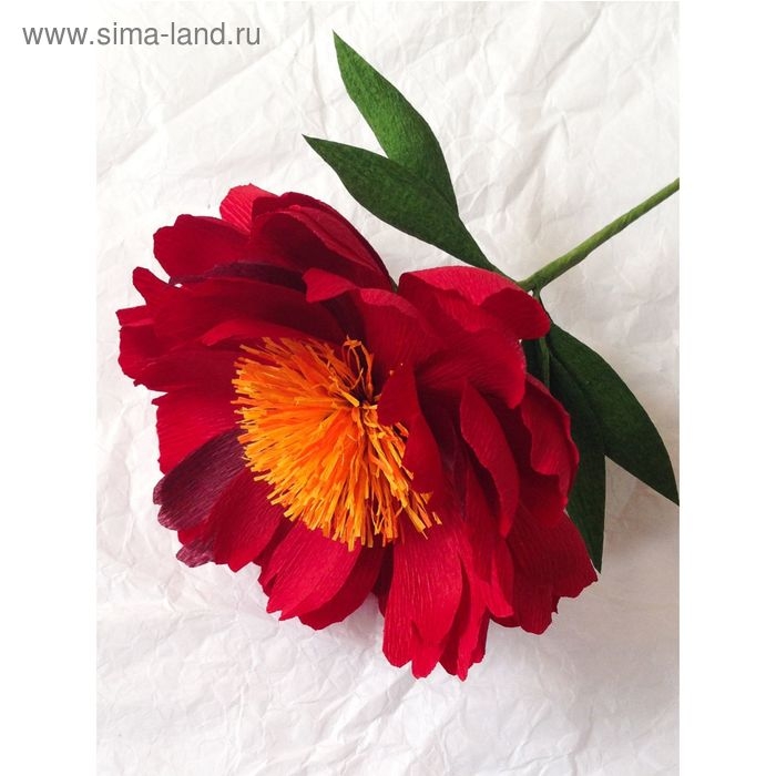 Бумага гофрированная, 586  Бумага гофрированная, 586 "Вишневая", 0,5 х 2,5 м