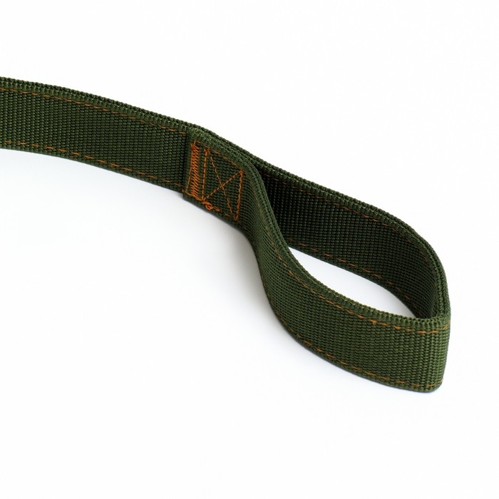 Поводок двухслойный с усиленным карабином, 3 м х 4 см, зелёный Поводок двухслойный с усиленным карабином, 3 м х 4 см, зелёный