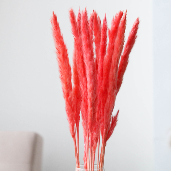 Сухоцвет &laquo;Камыш&raquo; набор 15 шт, цвет нежно розовый