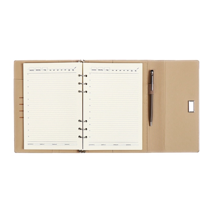 Органайзер на кольцах А5, 100л, линия, к/зам, с ручкой, в подар. короб., Серый Органайзер на кольцах А5, 100л, линия, к/зам, с ручкой, в подар. короб., Серый