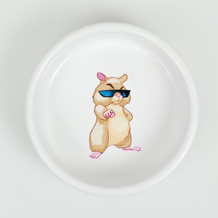 Миска керамическая для грызунов  Миска керамическая для грызунов "На стиле" 80 мл  8,5 х 3 см