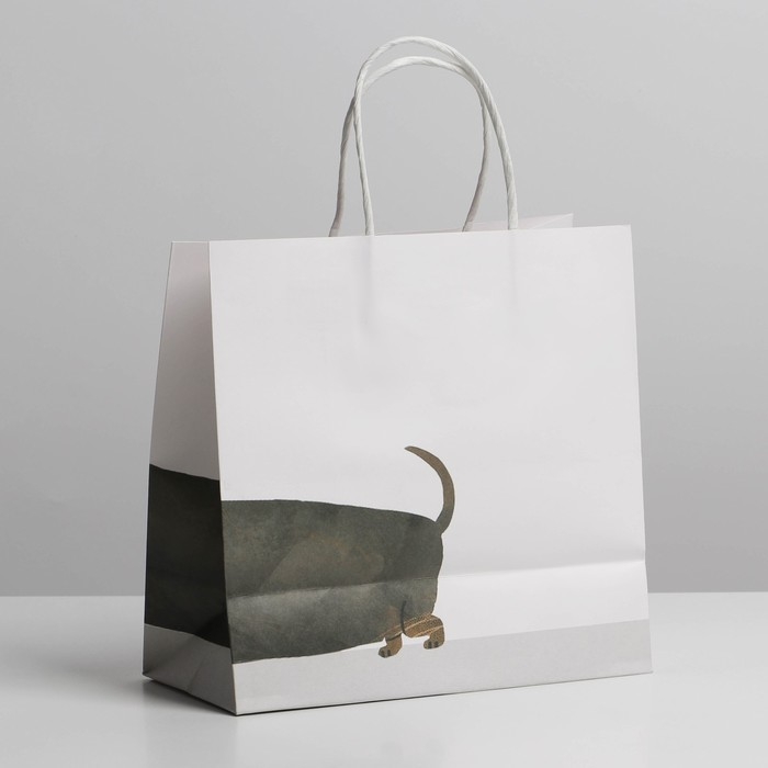 Пакет подарочный, упаковка, «Пирожочек», 22 х 22 х 11 см Пакет подарочный, упаковка, «Пирожочек», 22 х 22 х 11 см