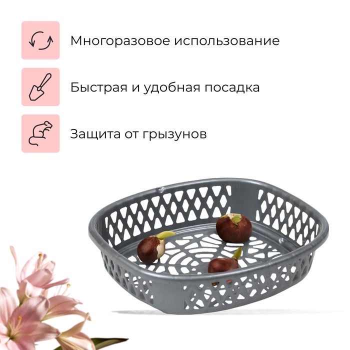 Корзинка для луковичных, овальная, 30.6 × 27 см, h = 7.5 см, МИКС Корзинка для луковичных, овальная, 30.6 × 27 см, h = 7.5 см, МИКС