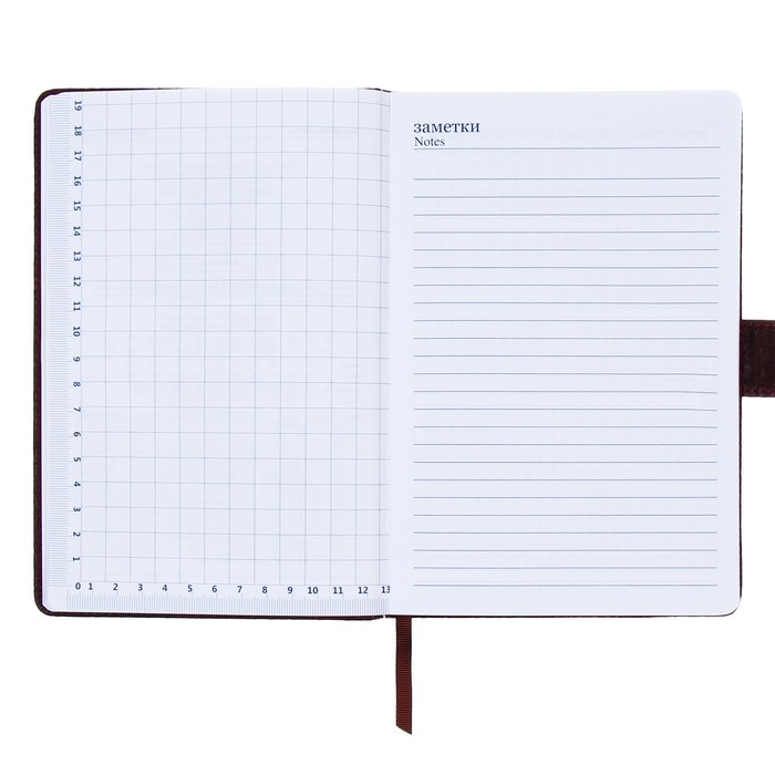 Ежедневник недатированный, обложка ПВХ, формат А5, 140 листов в клетку, на кнопке, рептилия, МИКС Ежедневник недатированный, обложка ПВХ, формат А5, 140 листов в клетку, на кнопке, рептилия, МИКС