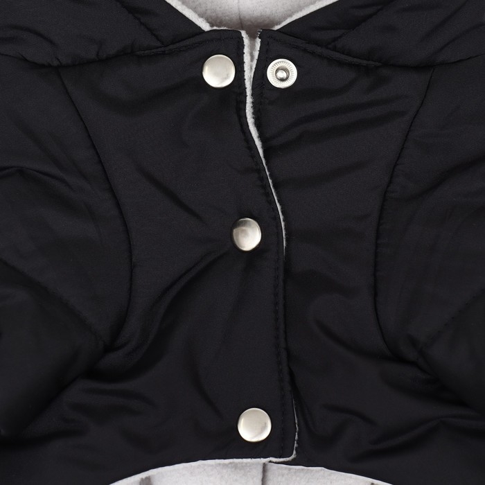 Комбинезон для животных, зимний на флисе, 2XL(ДС 34-36 см, ОГ 50-52 см, ОШ 34 см), чёрный