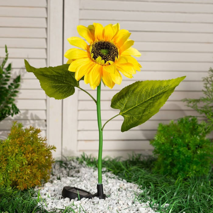 Садовый светильник на солнечной батарее «Подсолнух», 75 см, 5 LED, свечение белое Садовый светильник на солнечной батарее «Подсолнух», 75 см, 5 LED, свечение белое