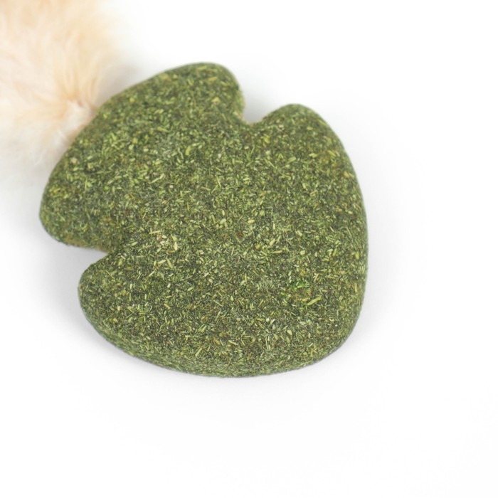 Игрушка для кошек из прессованной кошачьей мяты  Игрушка для кошек из прессованной кошачьей мяты "Стрела", 4,5 см