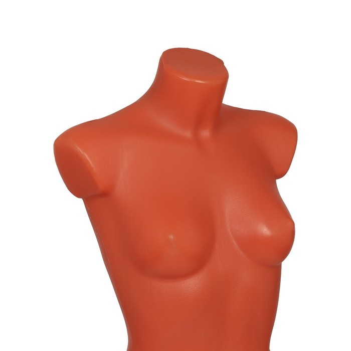 Торс женский удлиненный, 85×60×88 см, цвет телесный