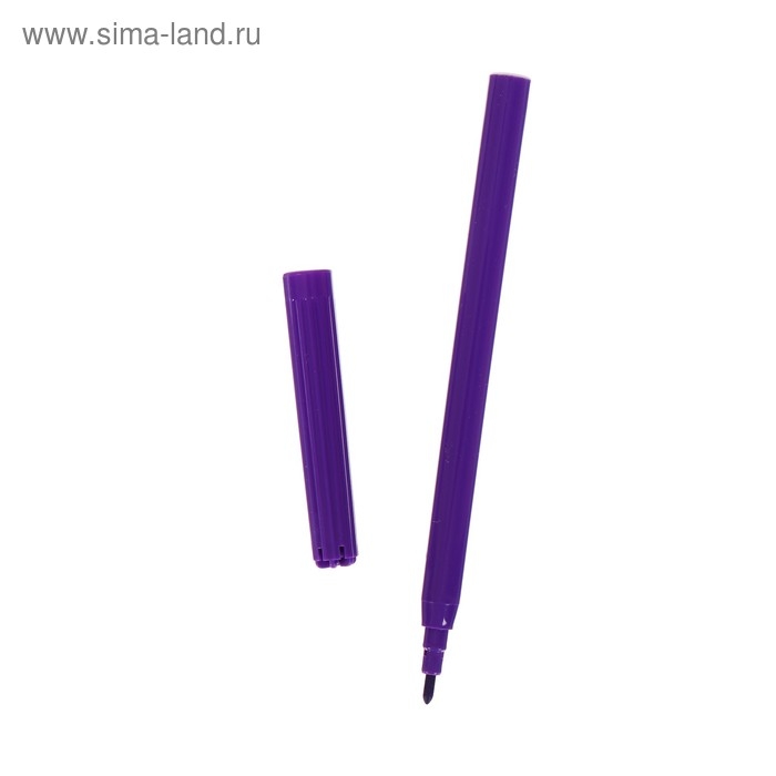 Фломастеры 12 цветов,  Фломастеры 12 цветов, "Гарри Поттер", картонная коробка, с европодвесом