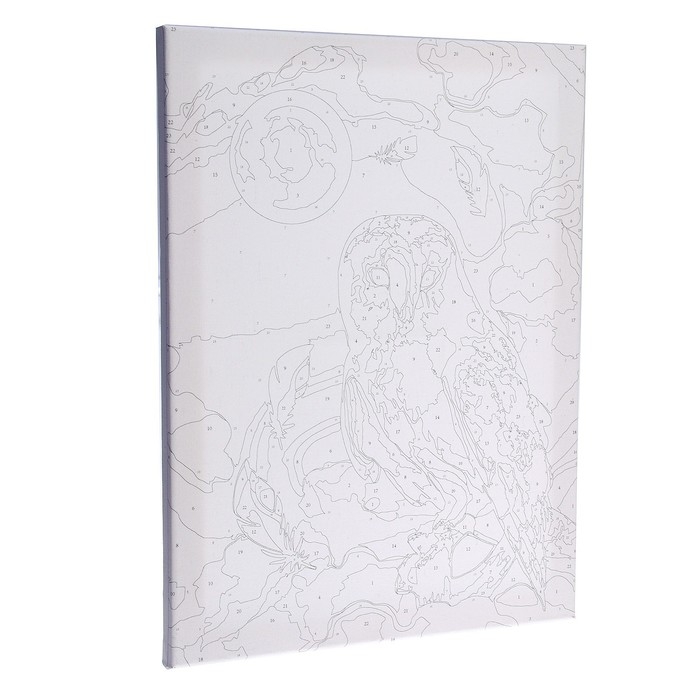 Картина по номерам на холсте с подрамником &laquo;Сказочная сова&raquo;, 30х40 см