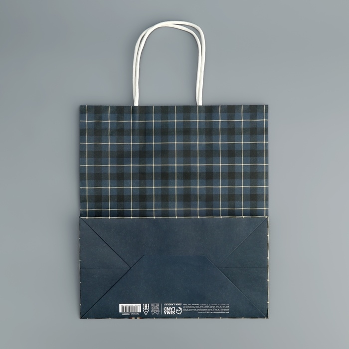 Пакет подарочный крафтовый, упаковка, «Клетка», 22 х 25 х 12 см Пакет подарочный крафтовый, упаковка, «Клетка», 22 х 25 х 12 см