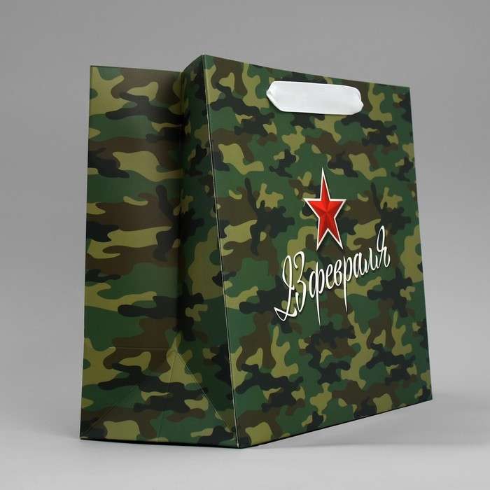 Пакет подарочный ламинированный горизонтальный, упаковка, «Звезда», ML 27 х 23 х 11.5 см Пакет подарочный ламинированный горизонтальный, упаковка, «Звезда», ML 27 х 23 х 11.5 см