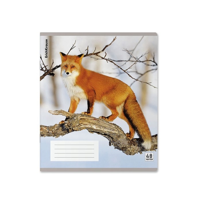 Тетрадь В5, 48 листов в клетку, ErichKrause Тетрадь В5, 48 листов в клетку, ErichKrause "Лисы", пластиковая обложка, блок офсет 100% белизна, МИКС