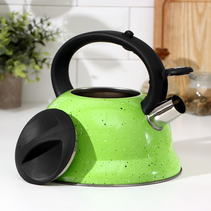 Чайник со свистком из нержавеющей стали Доляна «Рио», 2,8 л, фиксированная ручка, цвет зелёный Чайник со свистком из нержавеющей стали Доляна «Рио», 2,8 л, фиксированная ручка, цвет зелёный