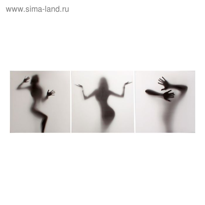 Картина модульная на подрамнике  Картина модульная на подрамнике "Силуэт" 3шт-50х50 см; 50*150 см