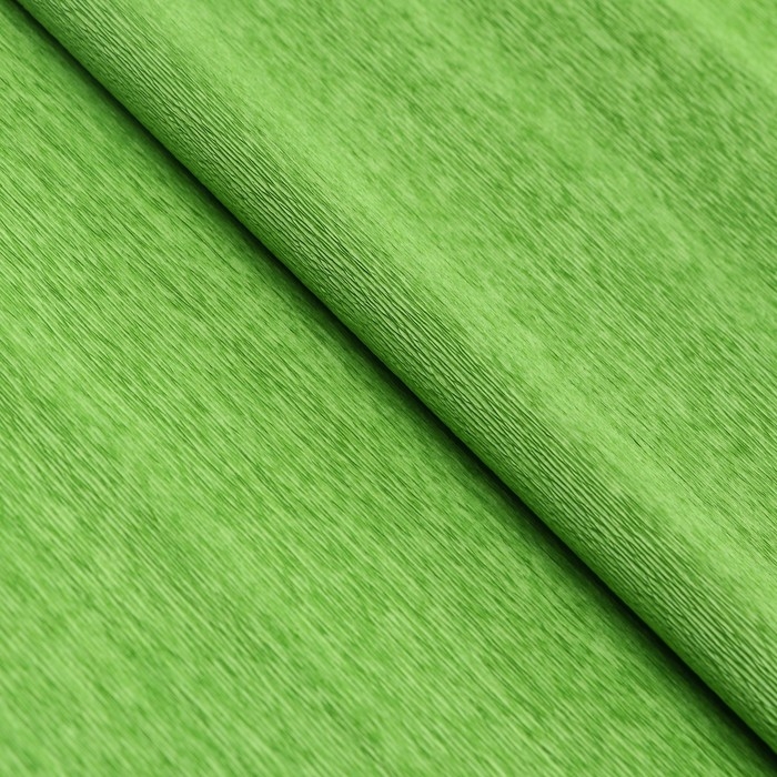 Бумага гофрированная 377 светло-зеленая, 90г, 50 см х 1, 5 м Бумага гофрированная 377 светло-зеленая, 90г, 50 см х 1, 5 м