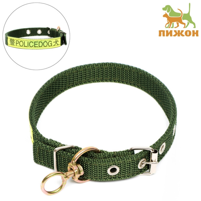 Ошейник двухслойный с вертлюгом, 2 см, зелёный Ошейник двухслойный с вертлюгом, 2 см, зелёный