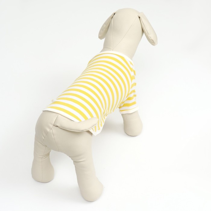 Футболка для животных, XS (ДС 21, ОГ 32 см), жёлтая Футболка для животных, XS (ДС 21, ОГ 32 см), жёлтая